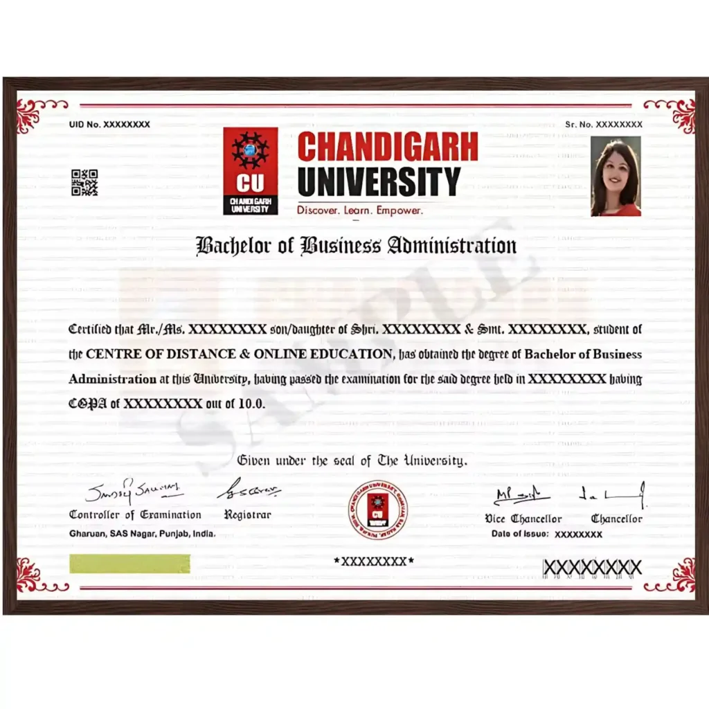 chandigar online bba sample degree